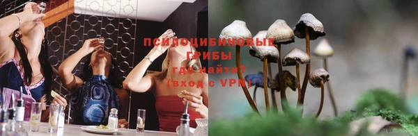 спайс Зеленокумск