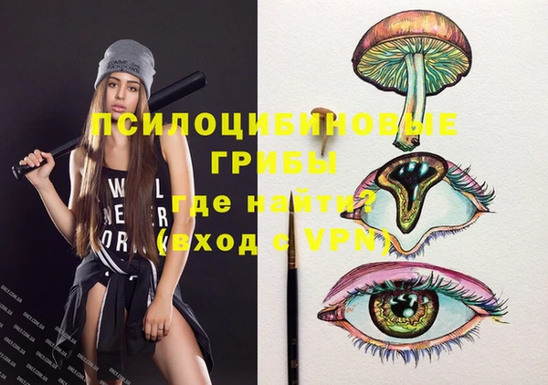 мдпв Заволжье