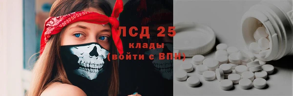 прущие грибы Зерноград