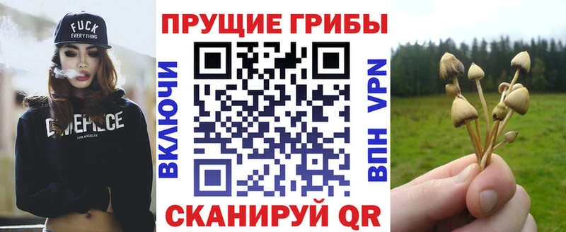Псилоцибиновые грибы GOLDEN TEACHER  Красноуфимск 